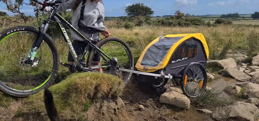 Cargo bike vs bike trailer