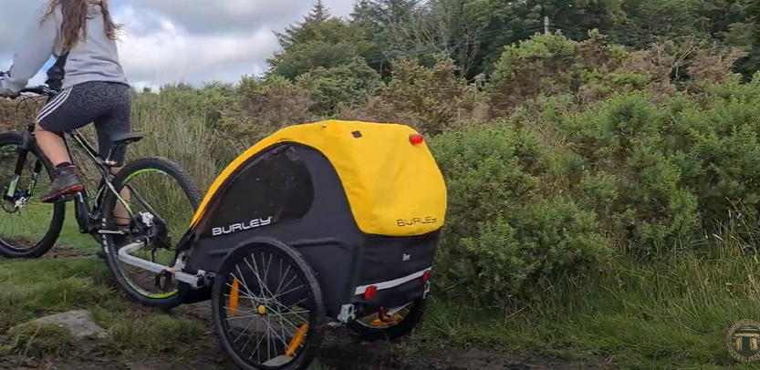 Cargo bike vs bike trailer