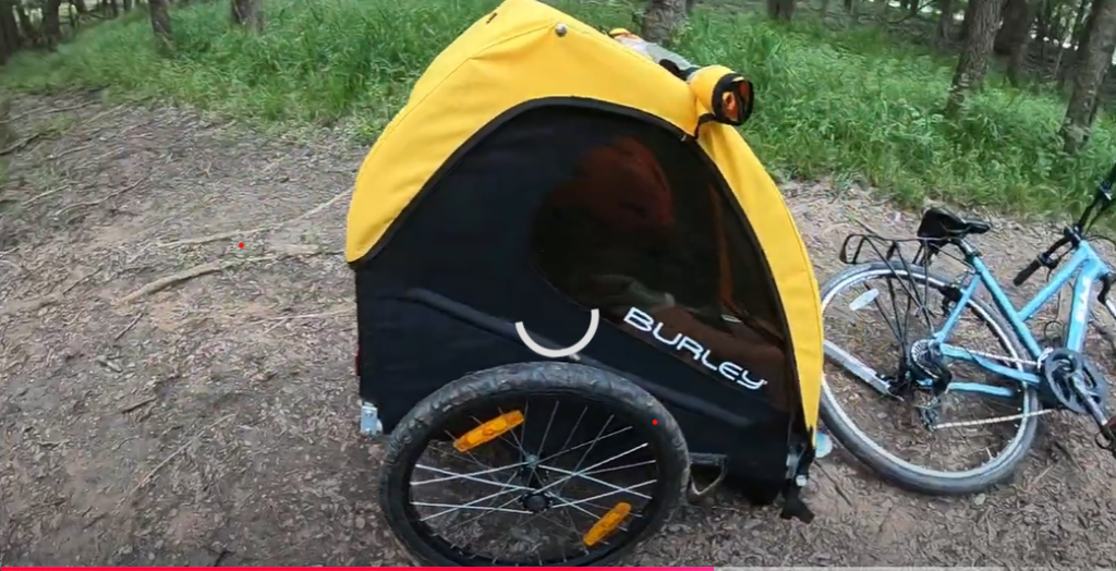 Thule vs Burley Bike Trailer: A Detailed Look at Comfort, Safety, and Value