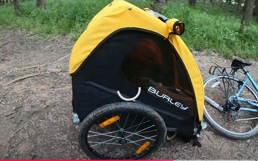 Thule vs Burley Bike Trailer: A Detailed Look at Comfort, Safety, and Value